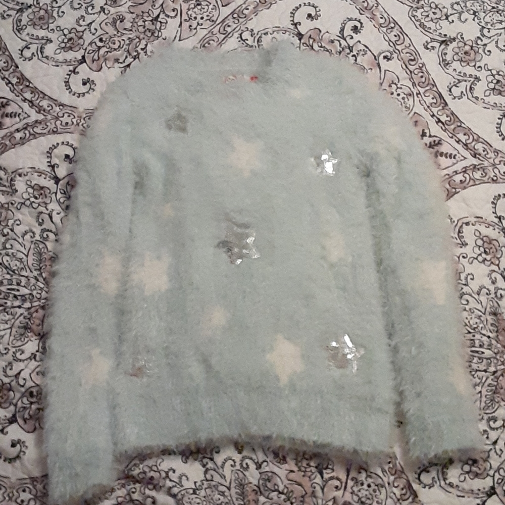 Fluffy blue star sweater.